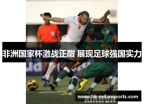 非洲国家杯激战正酣 展现足球强国实力